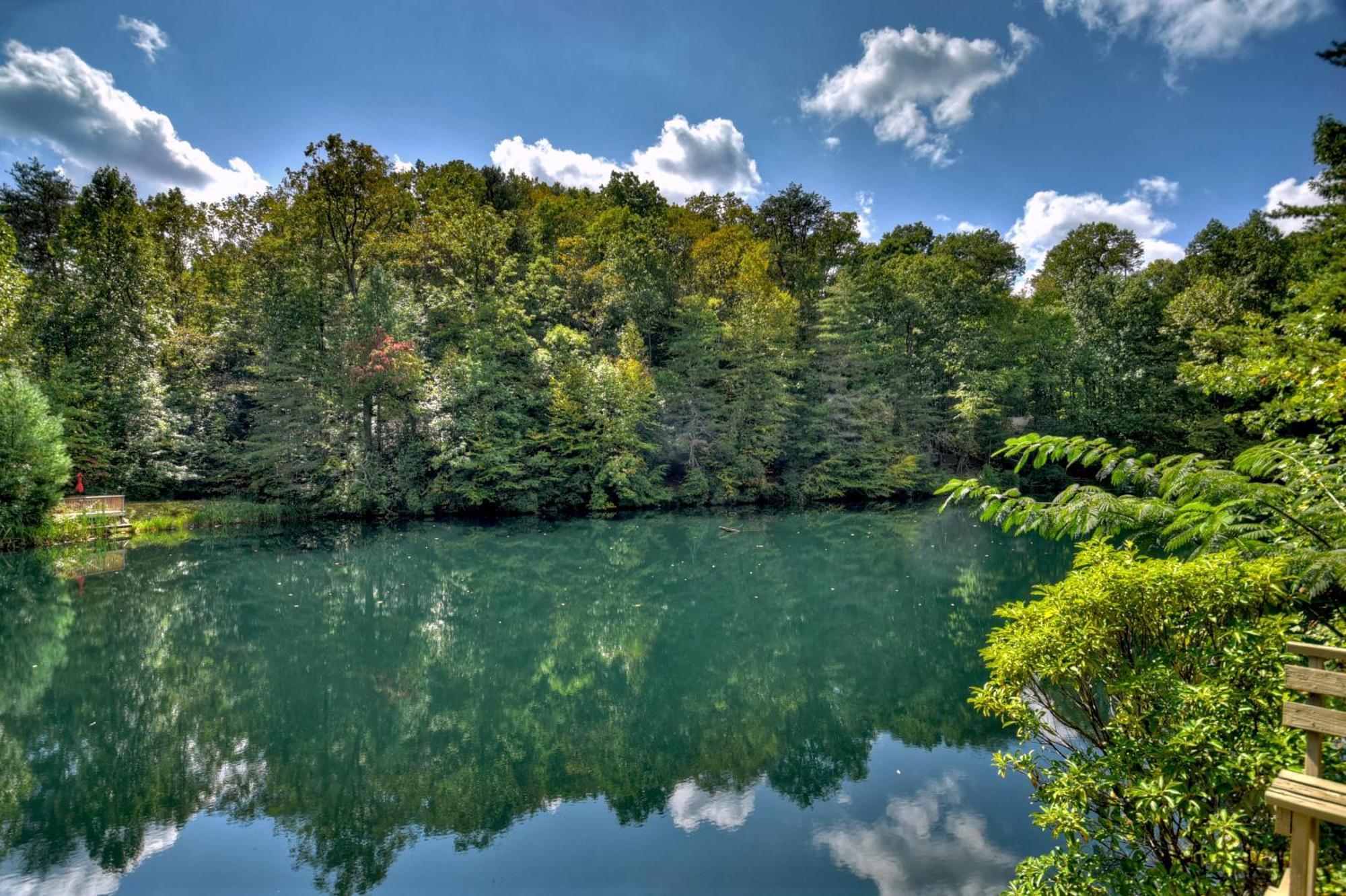 Waywish Waterfront Cabin In Blue Ridge Mountains Zewnętrze zdjęcie